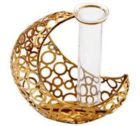 Moon Shaped Iron Glass Vase for Hydroponic Plants and Dry Plants