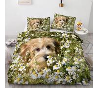 Moon Super King Duvet CoverCat Bedding Set 3 Pieces - 110gsm Soft Brushed Microfiber Quilt Cover, Bed Set with 2 Pillowcases 50x75 cm, Zipper Closure -Kg2760