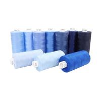Moon Thread Assorted Blues Spun Polyester Sewing Thread - 1000M, Set of 10