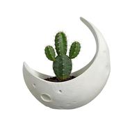 Moon Wall Planter,Wall Half Moon Cactus Pot | Small Planter | for Home Bedroom Living Room Balcony Outdoor Garden Mini Cactus Succulents Women Gardening Enthusiasts