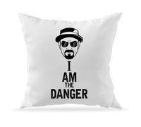 Moonai I Am The Danger Heisenberg Breaking Bad Decorative Cushion Cover for Sofa Cushion and Filling 40 x 40 cm