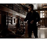 Moonlight on the Bayou