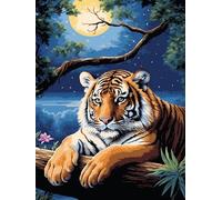 Moonlight, Tiger Cross Stitch Kits - Counted Cross Stitch Kits for Beginners Adults,11 CT Patterns Dimensions Embroidery Kits Arts Craft Kits, Home Decor 15.7 x 19.7in,40X50cm（3）-A