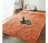 MOONLIGHT20015 Rugs Living Room Bedroom - Fluffy Shaggy Rust Area Rugs Non-Slip - Modern Super Soft Thick Pile Plush Carpet - Non Shedding Easy To Clean Rug, 60cm x 110cm