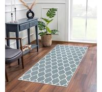 MOONLIGHT20015 Rugs Living Room - Small Bedside Area Rugs for Bedroom 40x60cm - Door Mat for Entryway Trellis Style Modern Rug Duck Egg Blue, Ava