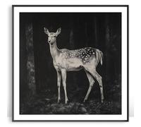 Moonow7 Graceful Deer Wall Art Prints, Small Forest Wildlife Poster for Living Room Decor, Minimalist Animal Picture for Entryway or Office Aesthetic, Unframed Size 25x25 cm / 10x10”