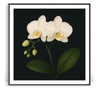 Moonow7 White Orchid Wall Art Prints, Compact Floral Poster for Living Room Decor, Minimalist Botanical Picture for Bedroom Office or Shelf Display, Unframed Size 25x25 cm / 10x10”