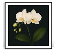 Moonow7 White Orchid Wall Art Prints, Large Botanical Poster for Living Room Statement Wall, Minimalist Floral Artwork for Bedroom or Meditation Space, Unframed Size 70x70 cm / 28x28”