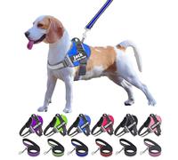 Moonpet Personalized No Pull Dog Harness Leash Set with Custom Name and Phone Number, Heavy Duty Pet Vest to Prevent Tugging, Pulling, or Choking, Training and Walking (XS-XXL, 9 Colorful)…