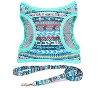 Moonpet Step in Air Boy Dog Harness Leash Set- All Weather Reflective No-Pull Padded Mesh Vest Harness for Cats Puppy Extra-Small Small Medium Large Dogs - Mayan Mysteries - L