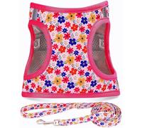 Moonpet Step in Air Dog Harness Leash Set- All Weather Reflective No-Pull Floral Pattern Padded Mesh Vest Harness for Cats Puppy Extra-Small Small Medium Large Dogs - Romantic Sakura S