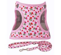 Moonpet Step in Air Dog Harness Leash Set- All Weather Reflective No-Pull Floral Pattern Padded Mesh Vest Harness for Cats Puppy Extra-Small Small Medium Large Dogs Heart Rose M