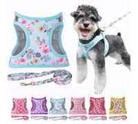 Moonpet Step in Air Dog Harness Leash Set- All Weather Reflective No-Pull Floral Pattern Padded Mesh Vest Harness for Cats Puppy Extra-Small Small Medium Large Dogs - Bell Orchid L