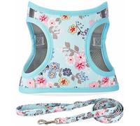 Moonpet Step in Air Dog Harness Leash Set- All Weather Reflective No-Pull Floral Pattern Padded Mesh Vest Harness for Cats Puppy Extra-Small Small Medium Large Dogs - Bell Orchid L