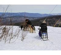 Moonshiners: High Proof Holidays