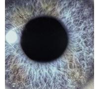 Moontower (Re-Issue)