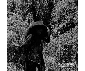 Moor Mother - Analog Fluids Of Sonic Black Holes [VINYL]