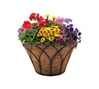 MoorGreen 16" Gothic Hanging Basket - Heavy-Duty Steel Frame with Natural Coir Liner for Outdoor Garden & Patio Displays