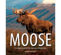 Moose: Crowned Giant of the Northern Wilderness