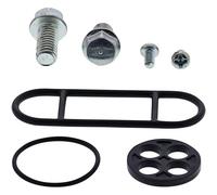 Moose Hard-parts 60-1079 Fuel Tap Repair Kit