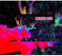Moose Life Steam CD Key