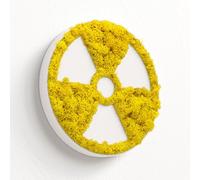 MOOSWERK Moss Doctors Door Sign X-Ray White | Icelandic Moss Practice Sign for Radiology & Diagnostics | Modern Wall Sign Doctor Practice