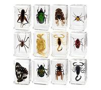 mophrati Animal Collection Biology Toys Simulation Gift For Children Inspiring Learning And Nature Exploration Educational Value Resin Animal Sample Teacher Education Collection