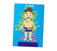 mophrati Body Parts Learning Felt Story Board Set Engage Kids With Fun Body Parts Learning Experience Interactive Cognitive Development Preschool Human Educational Teaching Storytelling