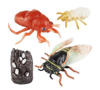 mophrati Cicada Life Growth Cycle Model Toy Fun Learning Premium Educational Teaching Tool Cicada Cycle Animal Growth Early Education Hatching Simulation