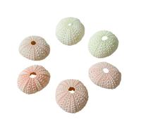 mophrati Delicate Shell Flower Pot Decoration - Exquisite Artistry For Home Styling With Natural Colors And Clear Textures