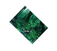 mophrati Deluxe Aquarium Background Poster 3D Background Poster Captivating Fish Tank Decoration Provides Lifelike Effect Fish Tank Wall Decorations Sticker Backdrop, Grass Green, 61x41cm