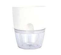 mophrati Hydroponic Flower Pot For Growing Plants Without Soil Gardens Beauty Hydroponic Flowerpot Wall Planter Hydroponics, white, 15.3cm