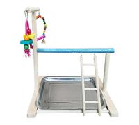 mophrati Interactive Bird Play Stand With Wood Perch And Climbing Toy Extending Playtime Experiences For Small Birds Gym Ladder Cockatiel Parakeets Finches Lovebirds