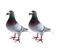 mophrati Realistic Figurines Simulated Bird Model Collecting And School Projects Enhancing Imagination And Parent Child Interaction Cake Toppers Birthday Gift For Toddlers, 2 pcs, Style A