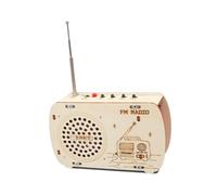 mophrati Science Experiment Model DIY Radio Model Science Set Early Learning Fun Educational Craft For Kids And Beginners Easy To Assemble Classroom Teaching DIY Educational Toy Crafts