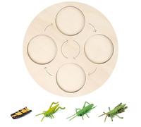 mophrati Simulation Insect Animal Early Growth Kindergarten Model Educational Teaching Props Imagination Toy Accessories Gifts, Type 5