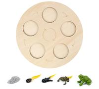 mophrati Simulation Insect Animal Early Growth Kindergarten Model Educational Teaching Props Imagination Toy Accessories Gifts, Type 1