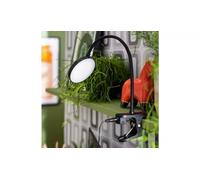 Mopsa Clip Lamp Attach to A Shelf Or Desk, The Strong Sturdy Grip Clip Means It Stays Firmly in Place The Cool White Light is Ideal for Reading - Black
