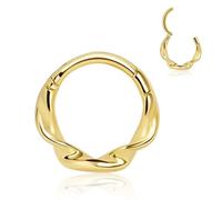 MOQIKAKA 16g Twist Septum Ring Hoops: Surgical Steel Nose Rings, Hinged Segment Nose Lips Helix Cartilage Clicker Hoop Earrings Daith Piercing Rings for Women Men 8mm 10mm, 16g 8mm, Stainless Steel