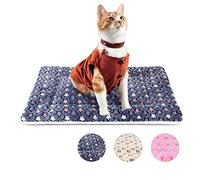 MORA PETS Cat Bed for Indoor Cats Washable Flat Kitten Bed Blanket Soft Warm Pet Pad for 18 inch Cage Small Dog Bed Mat Mattress Puppy Crate Pillow Reversible Extra Small 45x37cm Blue