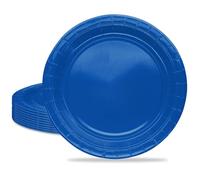 MORAINJAY 16Pcs Party Plates,Blue Paper Plate,7inch Birthday Plate for Adults Kids,Solid Color Table Decorations for Birthday,Wedding,Picnic,Baby Shower,Blue Party Supplies for 16 Guests
