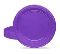 MORAINJAY 16Pcs Party Plates,Purple Paper Plate,9inch Birthday Plate for Adults Kids,Solid Color Table Decorations for Birthday,Wedding,Picnic,Baby Shower,Purple Party Supplies for 16 Guests