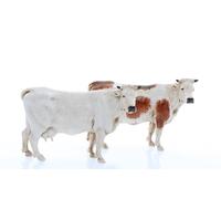 Moranduzzo 2 Assorted Cows for Nativity Scene of 4 Inch Scale 1:20 - Unbreakable Nativity Figures - Hand-finished Painting, Official Product, Made in Italy, Sculptor M. Landi