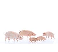 Moranduzzo 5 Assorted Pigs for Nativity Scene of 4 Inch Scale 1:20 - Unbreakable Nativity Figures - Hand-finished Painting, Official Product, Made in Italy, Sculptor M. Landi