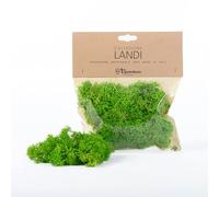 Moranduzzo Bag of Lichene, Green, 50 g,