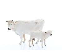 Moranduzzo Cow and Calf H. max 1.92 in for 3.15 in Nativity - Scale 1:22 - STANDARD 8 - Unbreakable Figurines, Hand-Painted, Official Product, Made in Italy, Sculptor M. Landi
