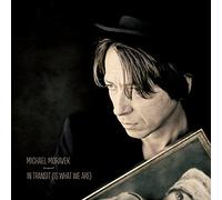 Moravek,Michael - In Transit [Vinyl LP] [VINYL]