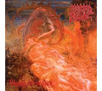 Morbid Angel - Blessed Are the Sick