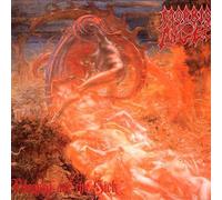 Morbid Angel - Blessed Are The Sick
