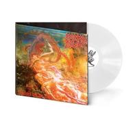MORBID ANGEL - BLESSED ARE THE SICK PHD EXCLUSIVE WHITE VI - Preorder - U72z